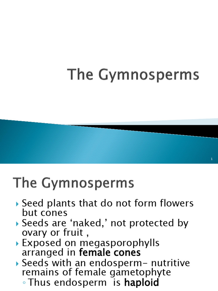 Gymnosperms: Types and Adaptations | PDF | Fertilisation | Sperm