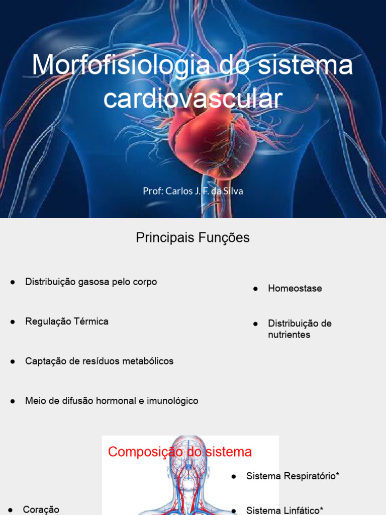 Morfofisiologia do Sistema Cardiovascular | PDF