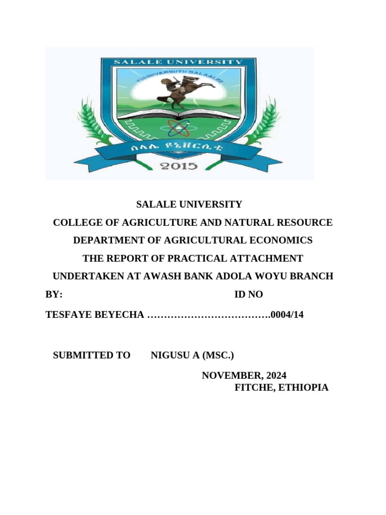 Internship Report at Awash Bank | PDF | Banks | Identity Document