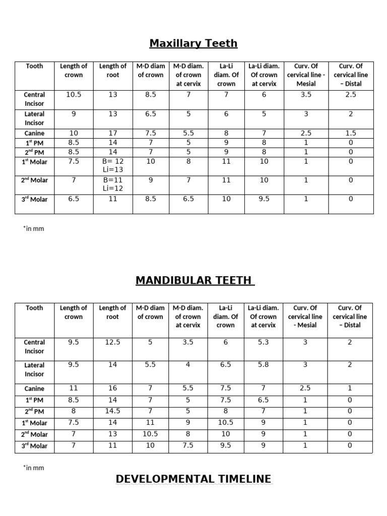 Maxillary and Mandibular Teeth Overview | PDF | Dental Anatomy ...