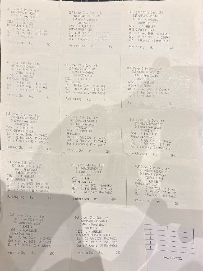 Parking Bills Feb 2025 | PDF