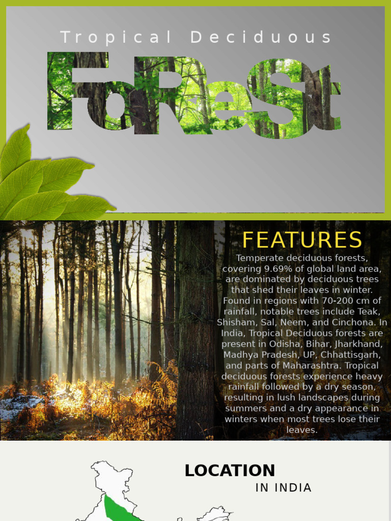 Tropical Deciduous Forests Overview | PDF | Forests | Tropics