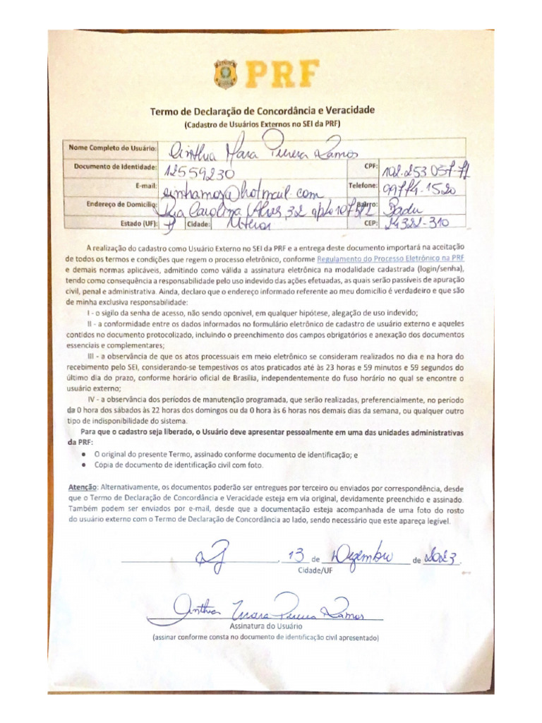 Termo de Declaração de Concordância e Veracidade | PDF