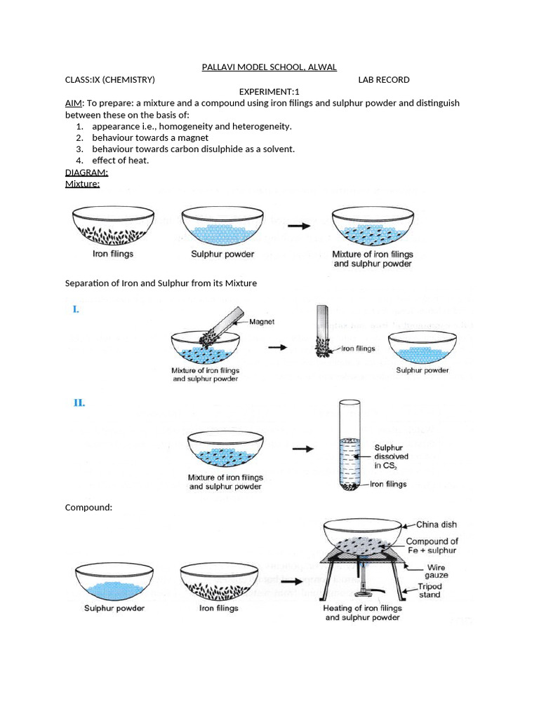 Class IX Chemistry & Physics Lab Record | PDF | Tissue (Biology) | Staining
