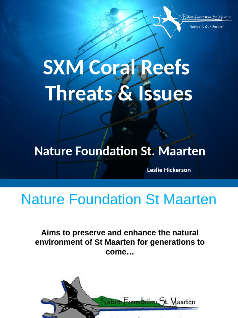 SXM Coral Reef Threats | PDF | Coral Reef | Coral