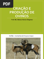 Características e Habitat do Preá | PDF