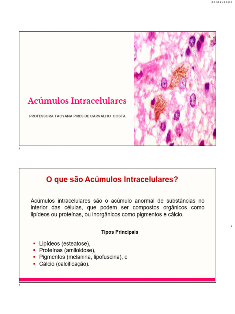 Aula 03 Acumulos Intracelulares | PDF | Fígado | Anatomia