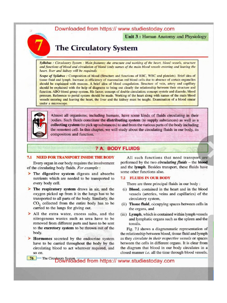 Concise Class X Circulatory System | PDF