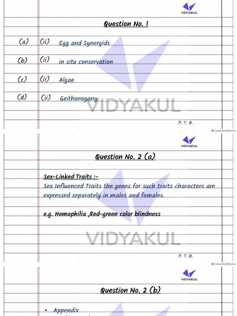Model Paper V | PDF