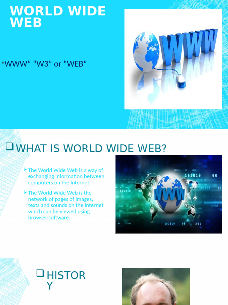 Overview of the World Wide Web | PDF