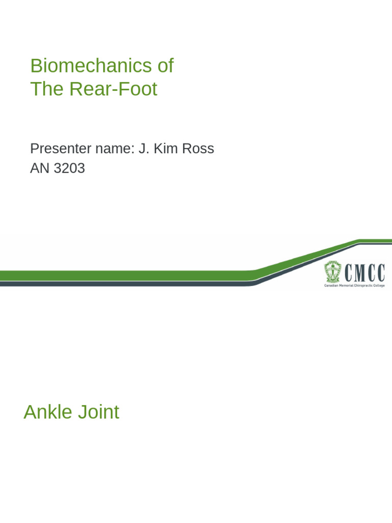 4 Rear Foot | PDF | Ankle | Foot