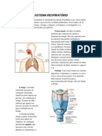 SISTEMA RESPIRATÓRIO