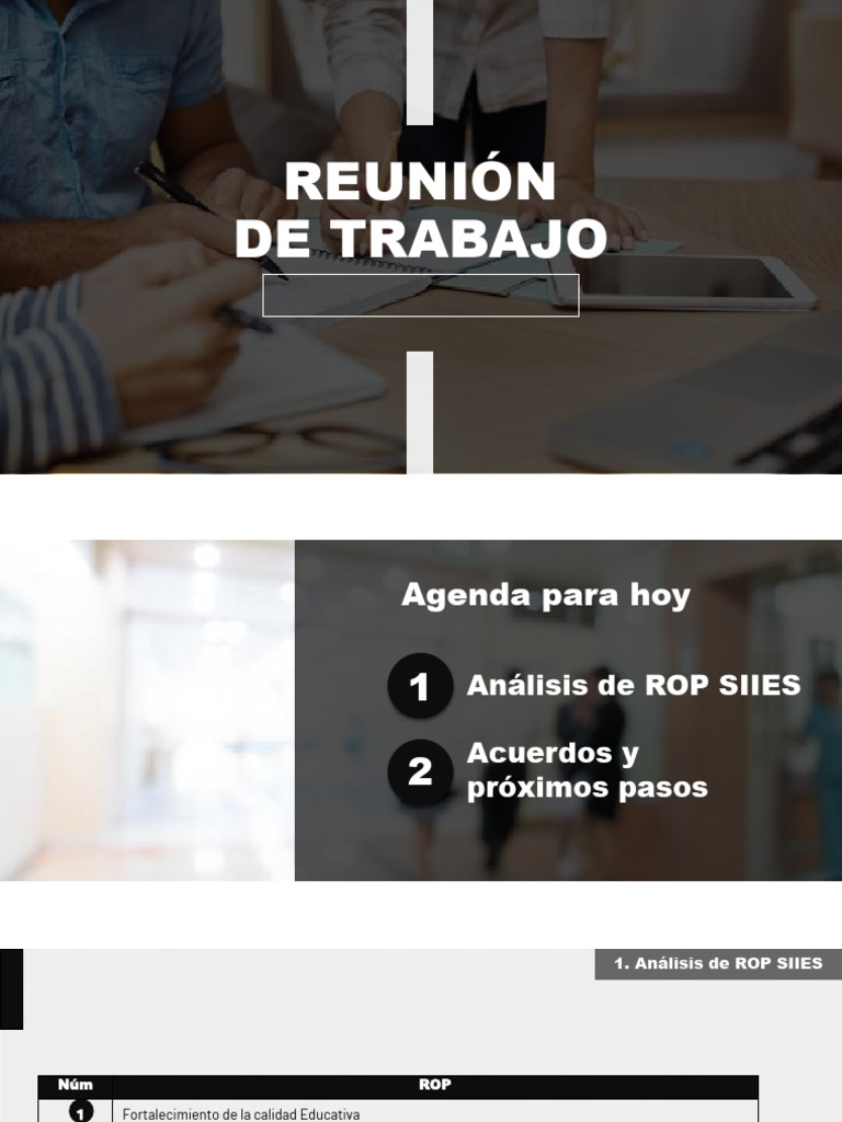 Análisis ROP 2 | PDF | Economias