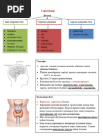 Гигпорндағы тексеру процесі қандай?