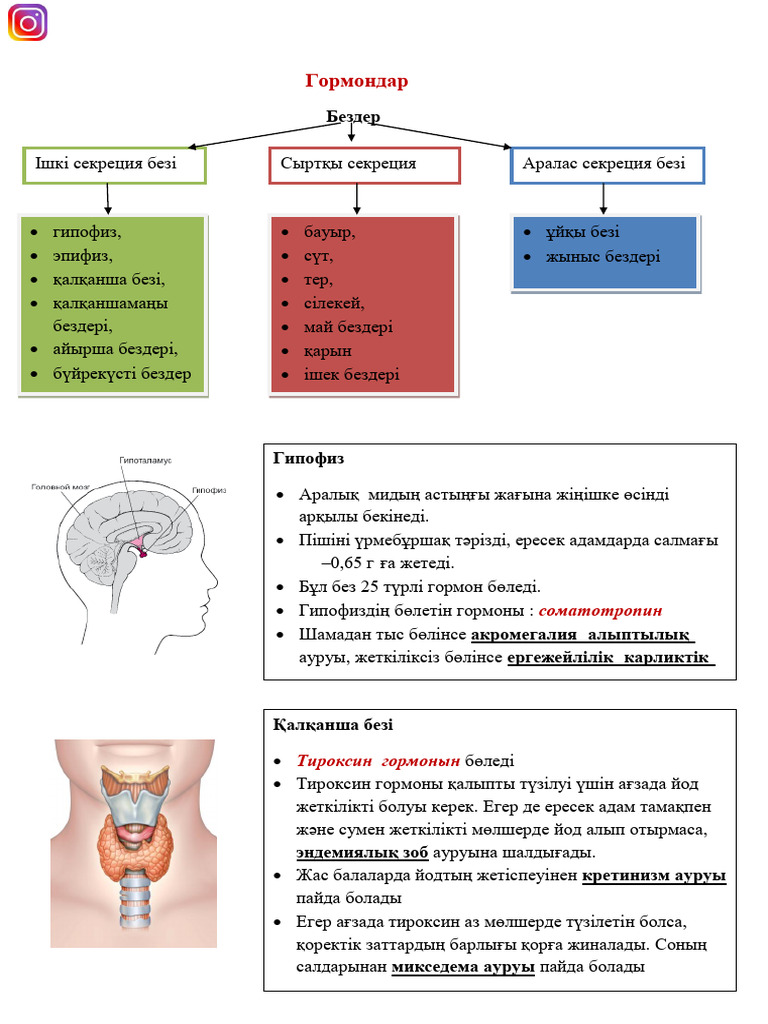Порно аналар үлкен киска