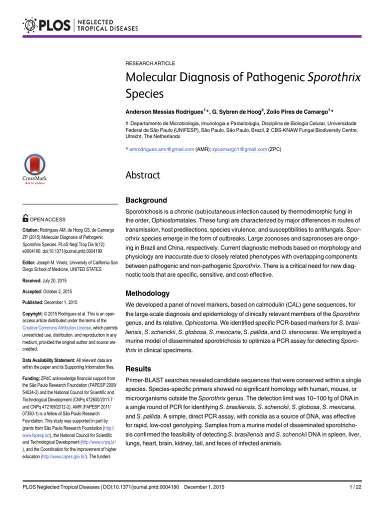 Molecular Diagnosis of Pathogenic Sporothrix Species | PDF | Polymerase ...