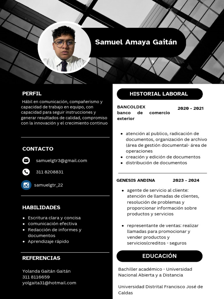 Perfil Profesional de Samuel Amaya Gaitán | PDF