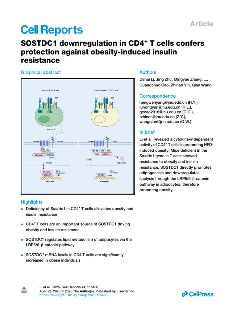 PIIS2211124725002670 | PDF | Adipose Tissue | Adipocyte