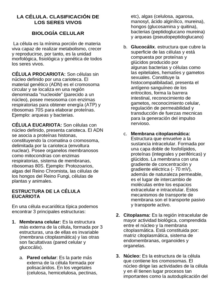 Clasificación y Estructura Celular | PDF | Biología Celular) | Citoplasma