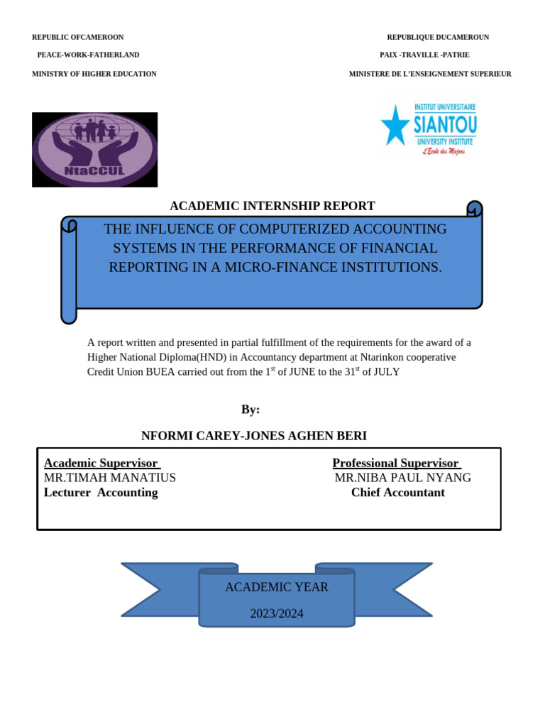 Impact of Computerized Accounting Systems | PDF