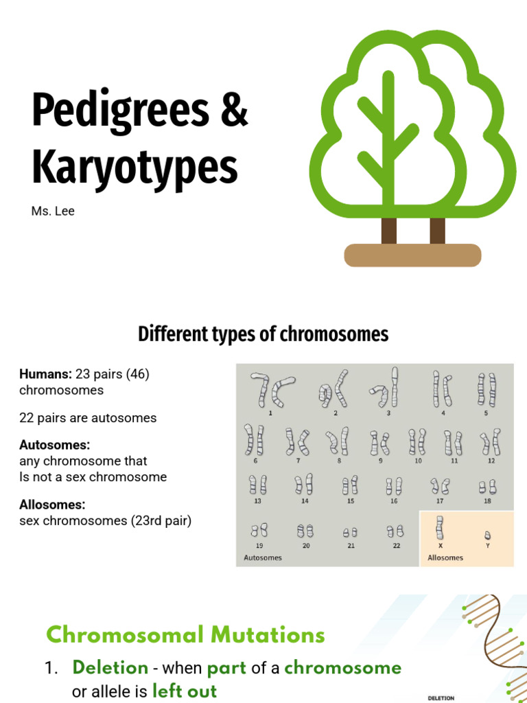 Tracking Dimples in Family Pedigree | PDF | Dominance (Genetics) | Genotype