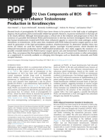 DULTON (ダルトン) \"TAILOR\"CHAIR CANVAS BLUE 1728178939?v=1