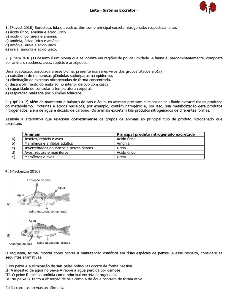 Formação e Eliminação de Cálculos Renais | PDF | Rim | Sistema urinário