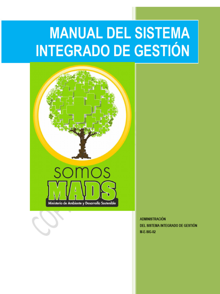 Manual Sistema Integrado de Gestion - Medio Ambiente | PDF ...