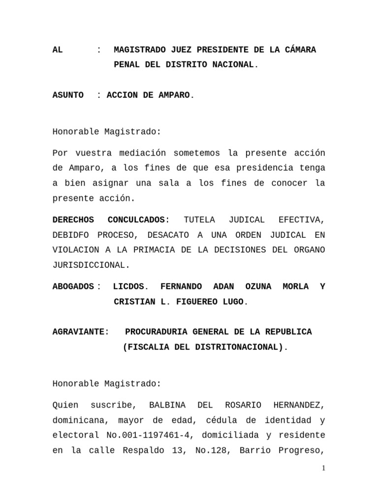 Acción de Amparo por Derechos Violados | PDF | Habeas corpus | Judicaturas