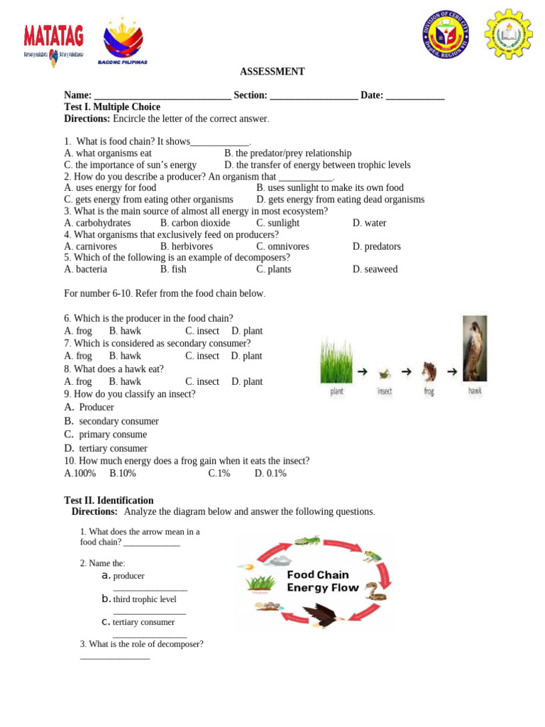 Hawk as Tertiary Consumer in Food Chains | PDF | Foods | Natural ...