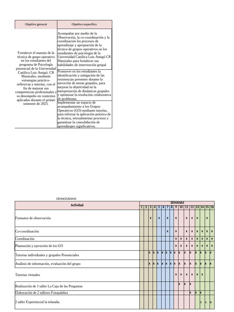 Cronograma de Actividades Proyecto de Intervención | PDF | Aprendizaje ...