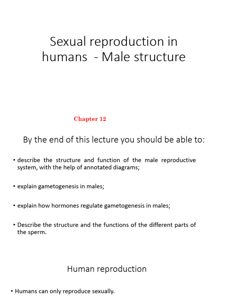 1 Sexual Reproduction in Humans - Male Part - 2021 | PDF | Luteinizing ...