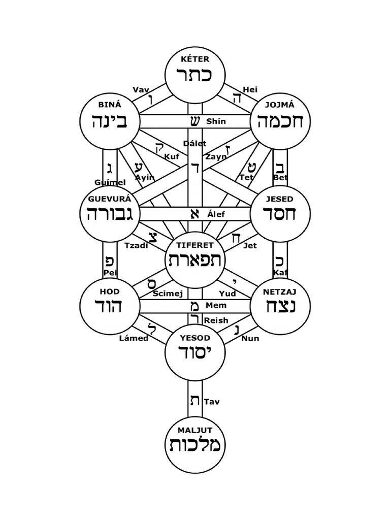Life Tree | PDF