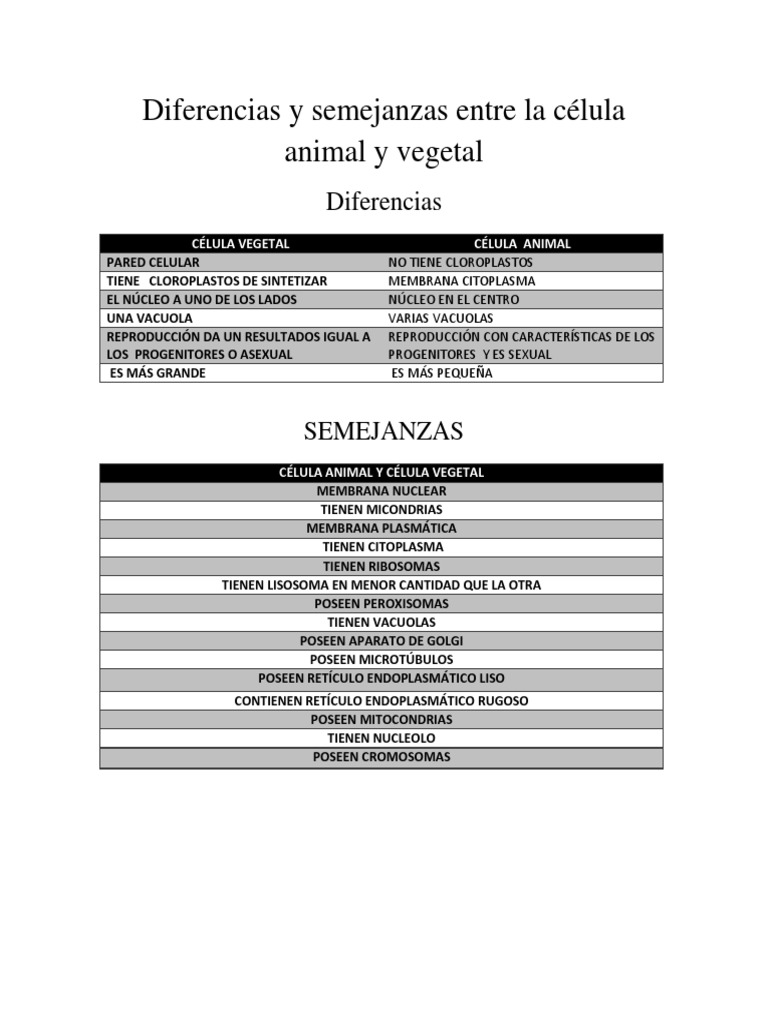 Diferencias y semejanzas entre la célula animal y vegetal