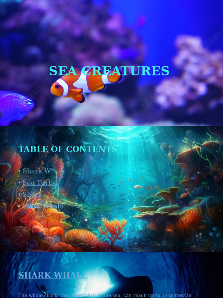 Overview of Sea Creatures | PDF