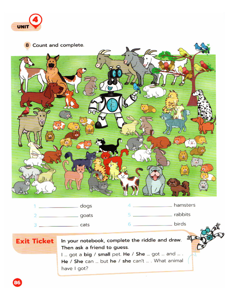 Unidad 5 y 6 Ingles | PDF