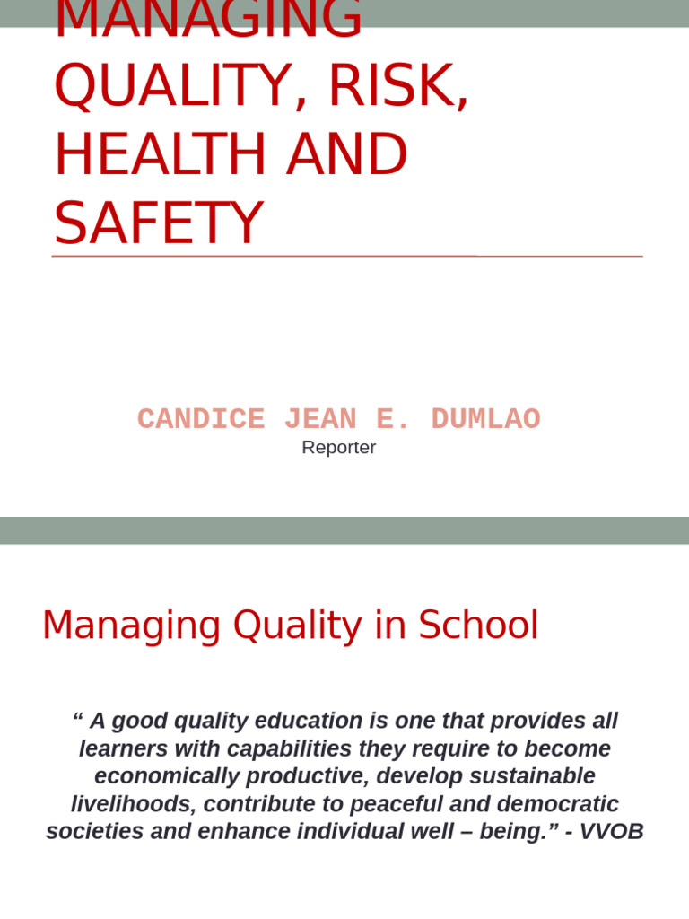 Quality, Risk, and Safety in Education | PDF | Risk | Learning