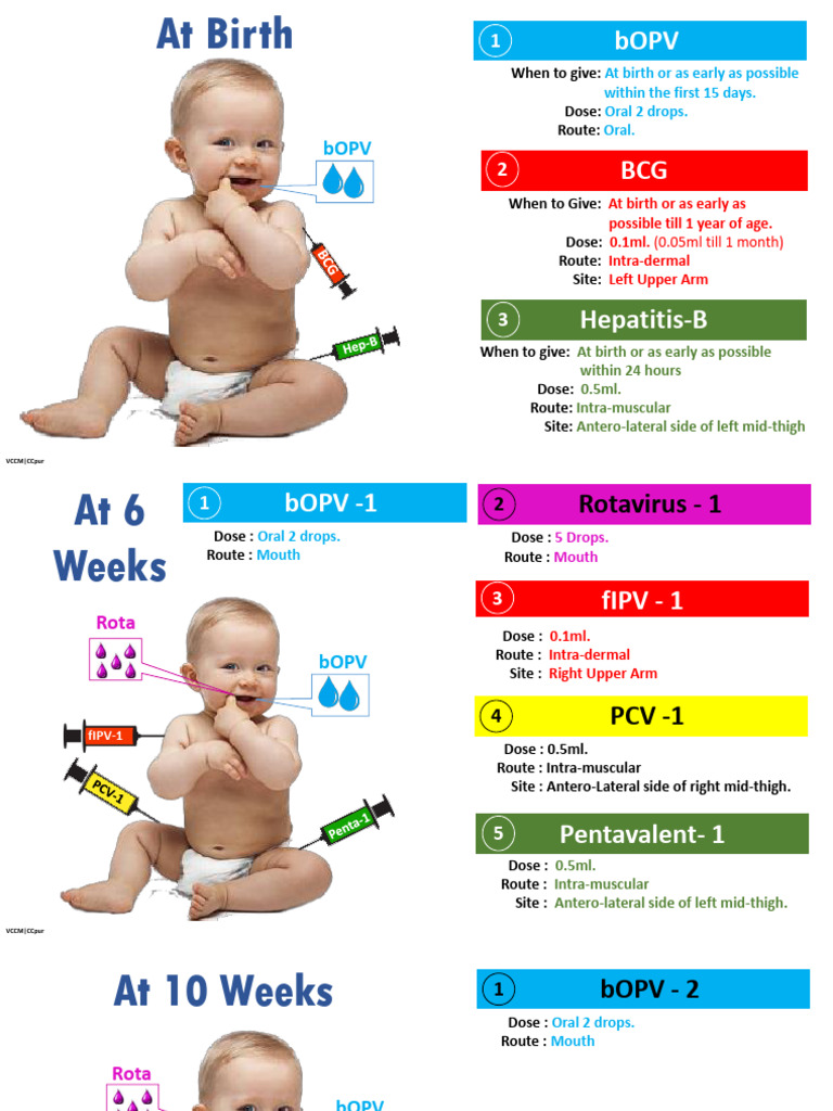 Infant Immunization Routes and Sites | PDF | Virology | Biotechnology
