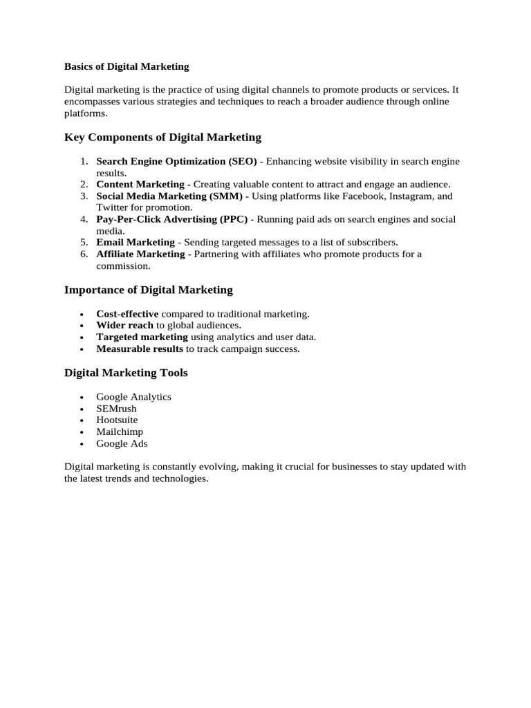 Digital Marketing Basics Overview | PDF