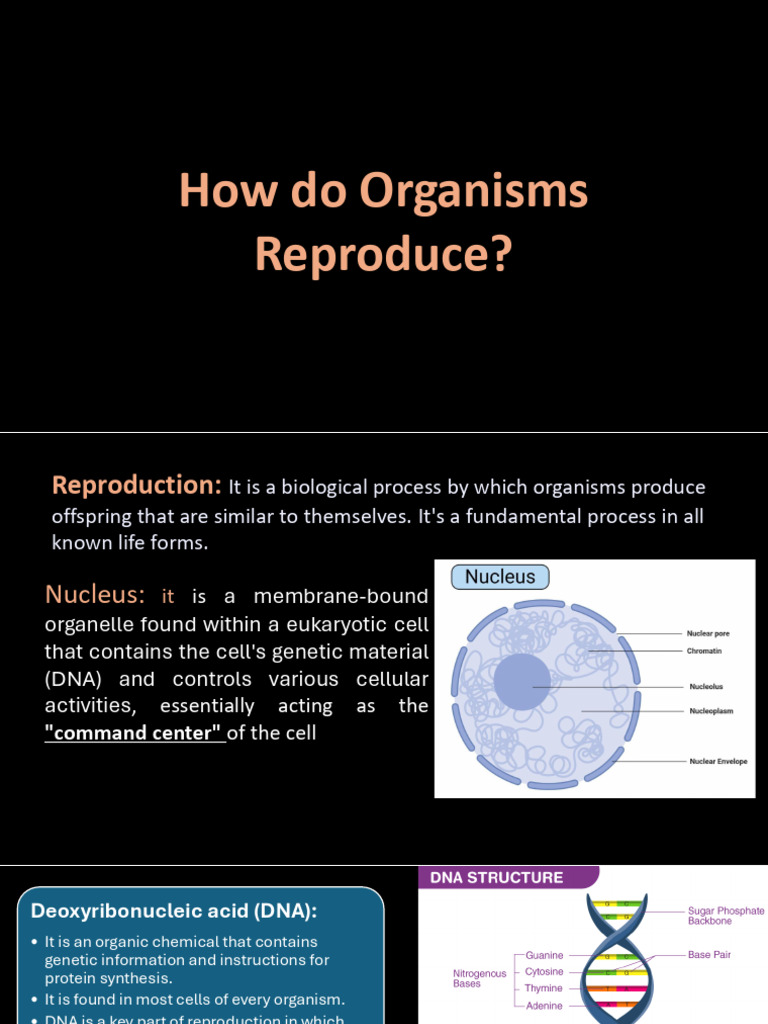 Understanding Organism Reproduction Methods | PDF | Fertilisation ...