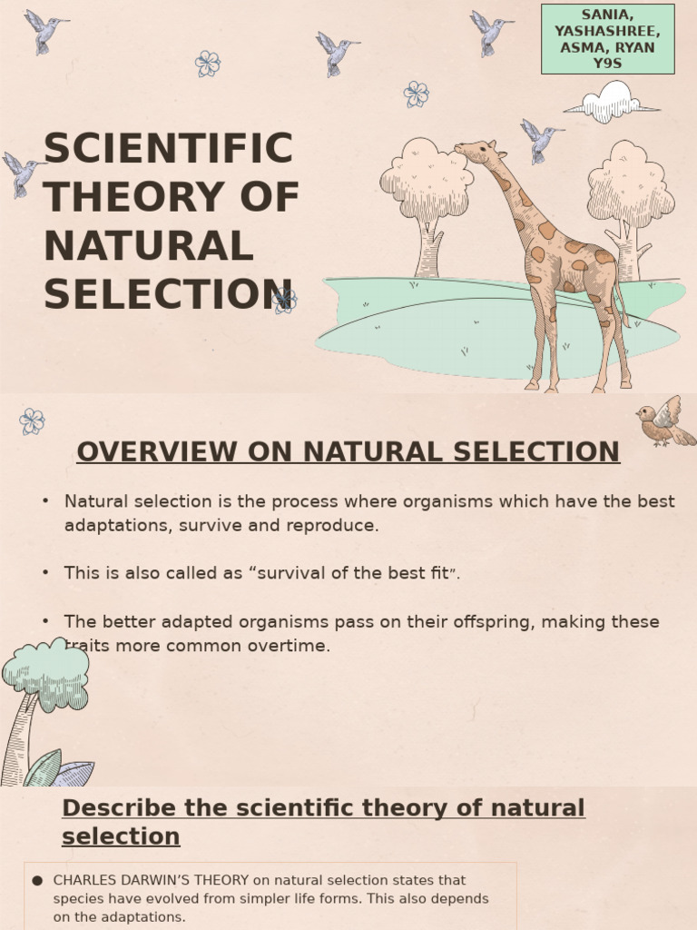 Overview of Natural Selection Theory | PDF