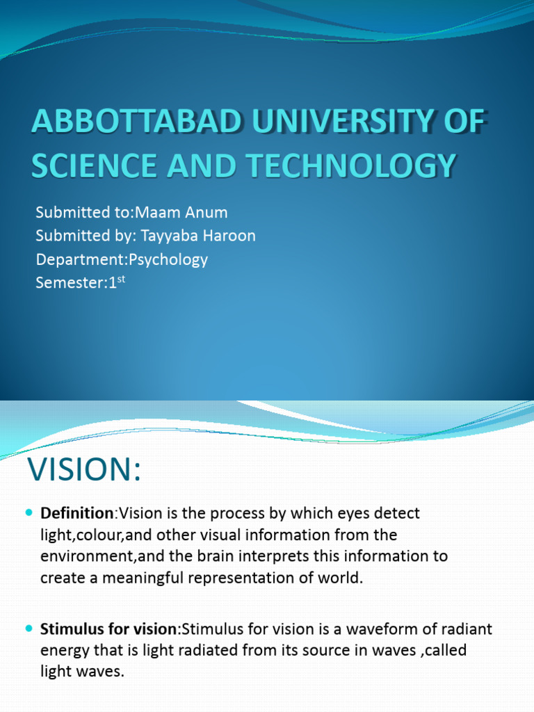 Tayyaba Presentation. | PDF | Color | Retina