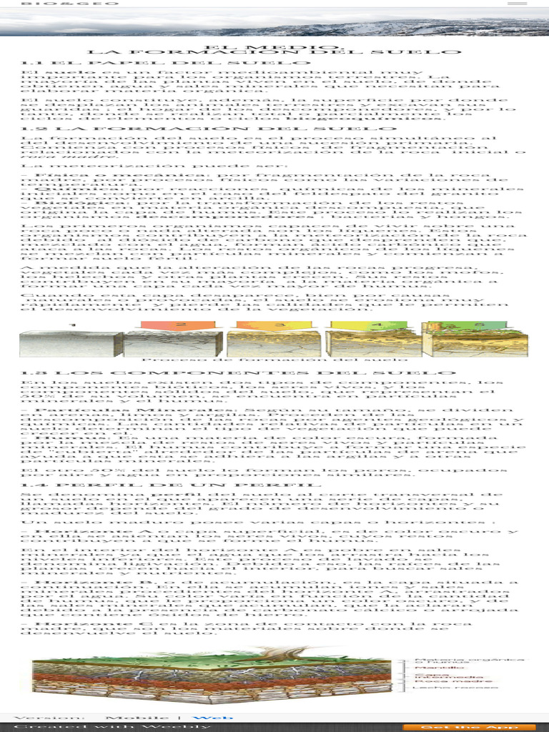 Formación y Composición del Suelo | PDF | Suelo | Meteorización