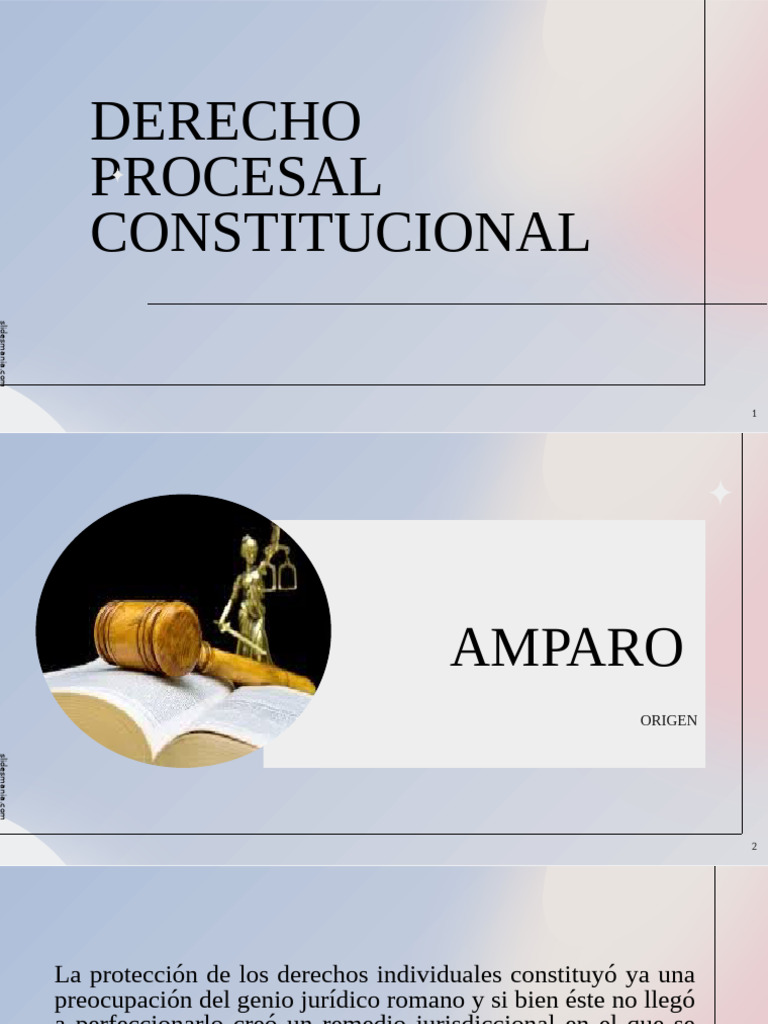 Amparo y Protección de Derechos en Derecho Procesal | PDF | Habeas ...