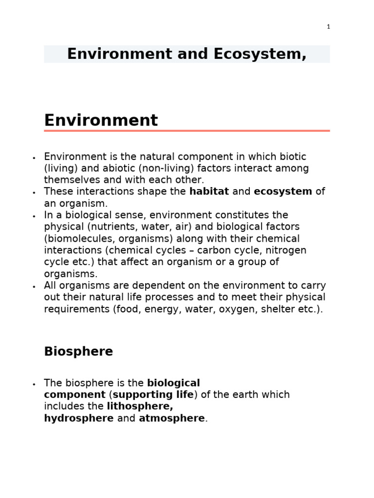 Energy Flow in Ecosystems | PDF | Food Web | Ecosystem