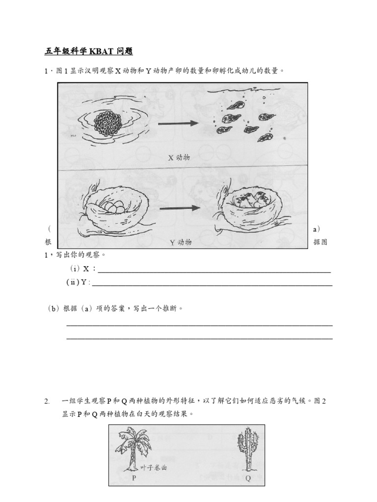 Sains KBAT Tahun 5 | PDF