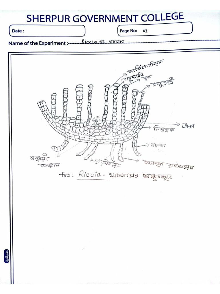 Botany Practical Part 1 | PDF