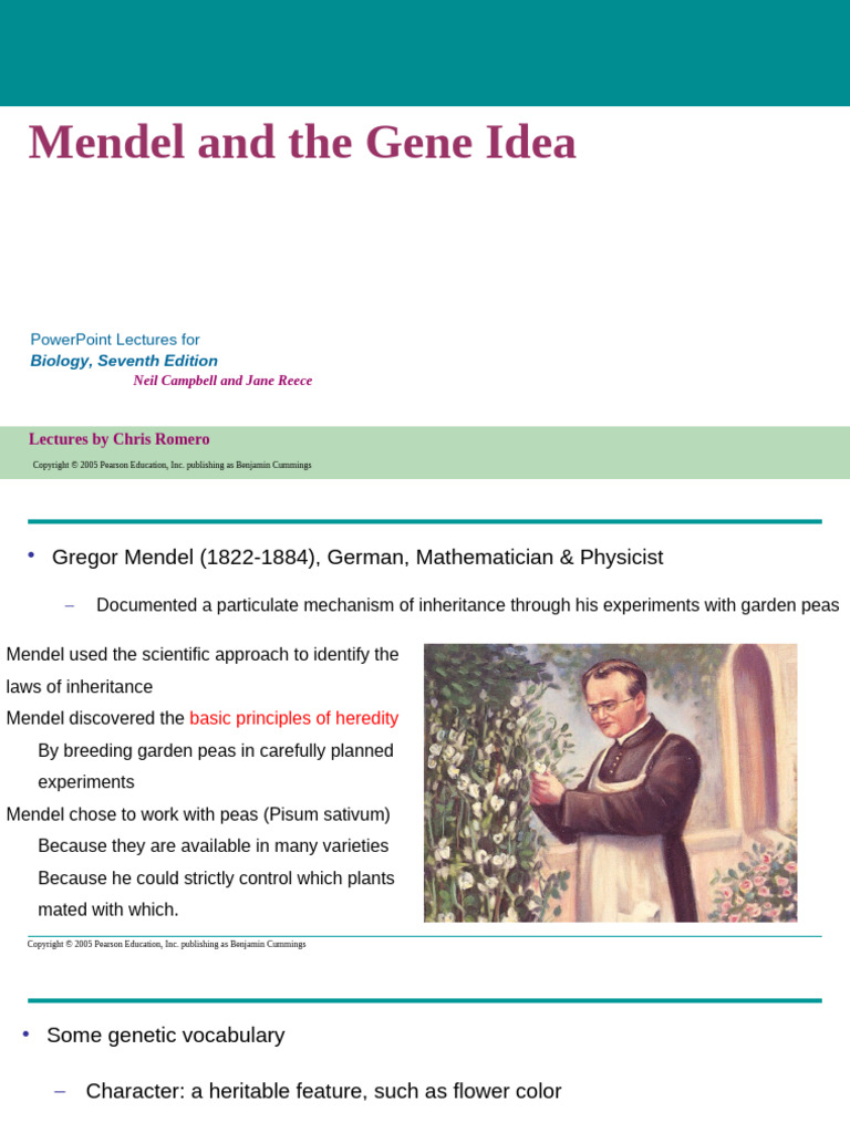 Module II - 5 - Genetics and Inheritance | PDF | Dominance (Genetics ...
