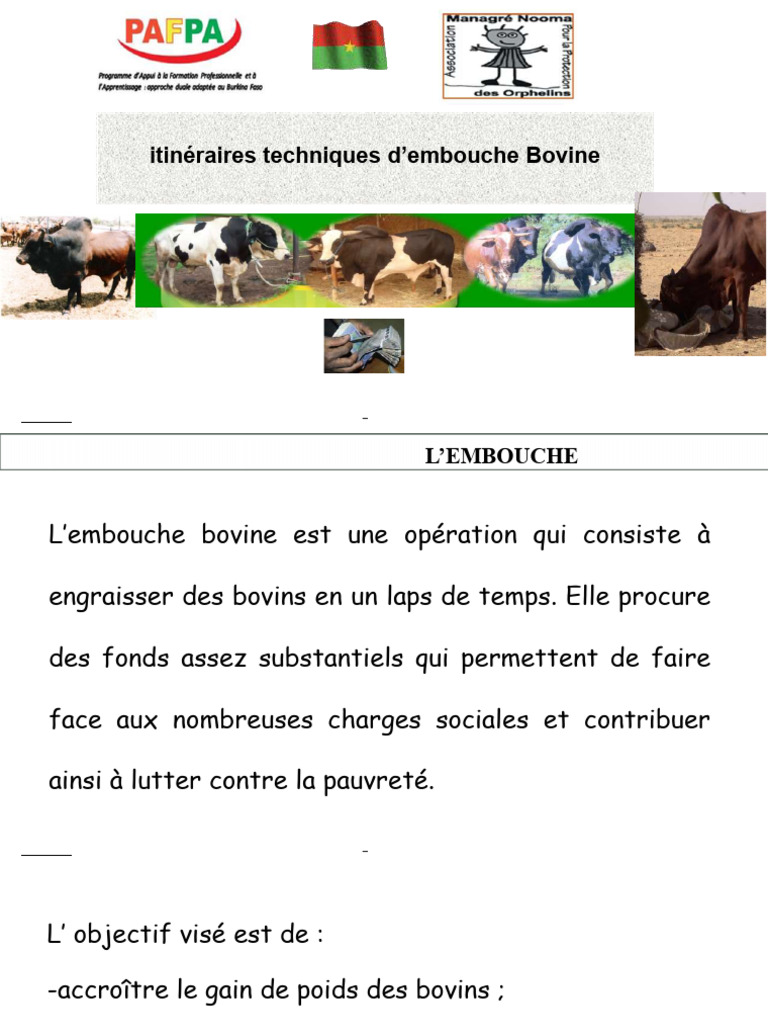 Itinéraires techniques d'embouche bovine | PDF | Fourrage | Foin