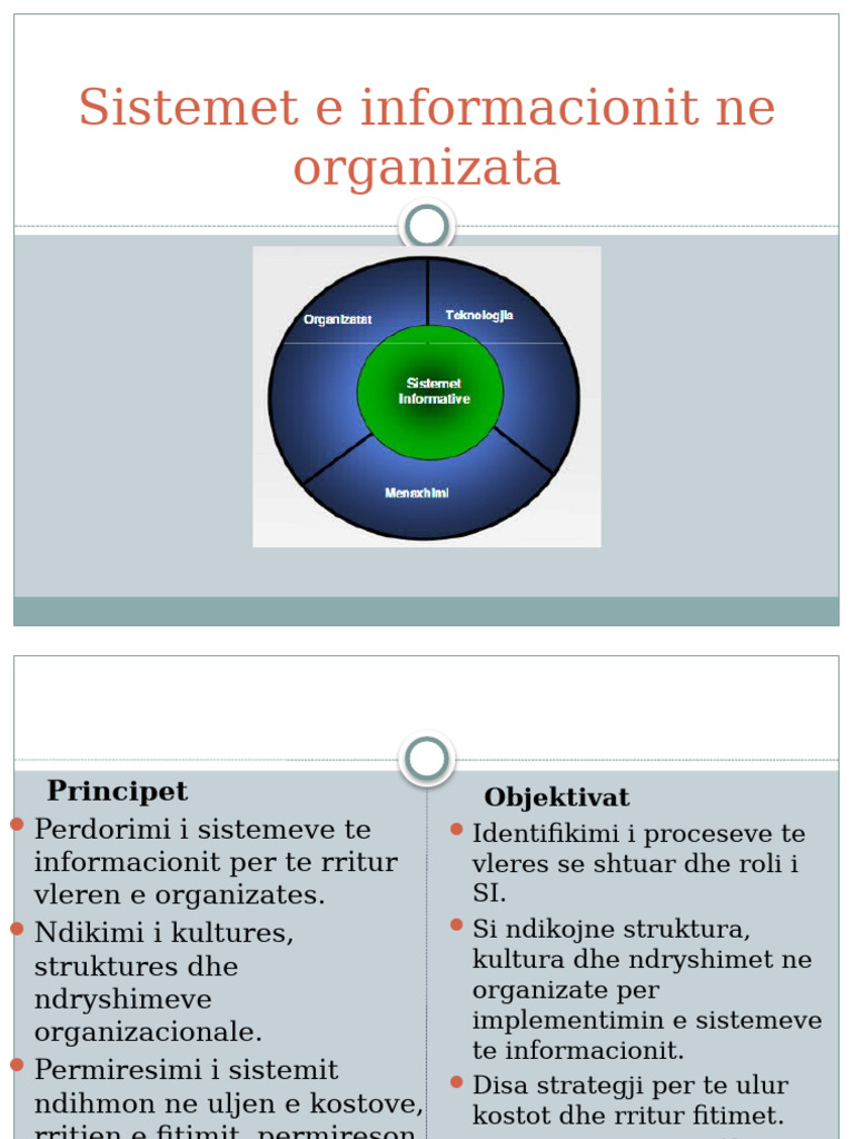 Menaxhimi I Informacionit | PDF